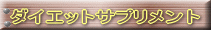 �_�C�G�b�g�T�v�������g